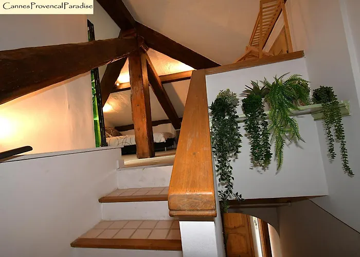 Provencal Paradise - Meuble De Tourisme 4 Etoiles * Канны