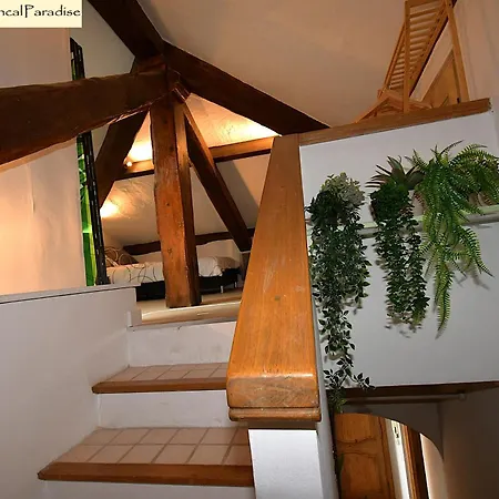 Provencal Paradise - Meuble De Tourisme 4 Etoiles * كان