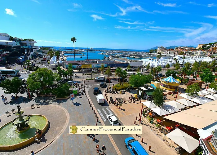 Daire Provencal Paradise - Meuble De Tourisme 4 Etoiles *